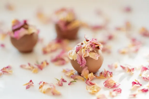 Kaszinó Fantastic Spins Android/iOS Alkalmazás